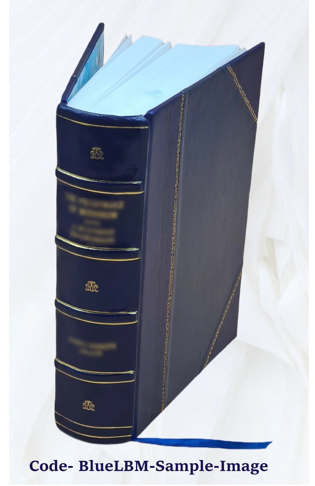 Equal pay for equal work; the story of the struggle for justice being made by the women teachers of the city of New York 1910 [Leather Bound]