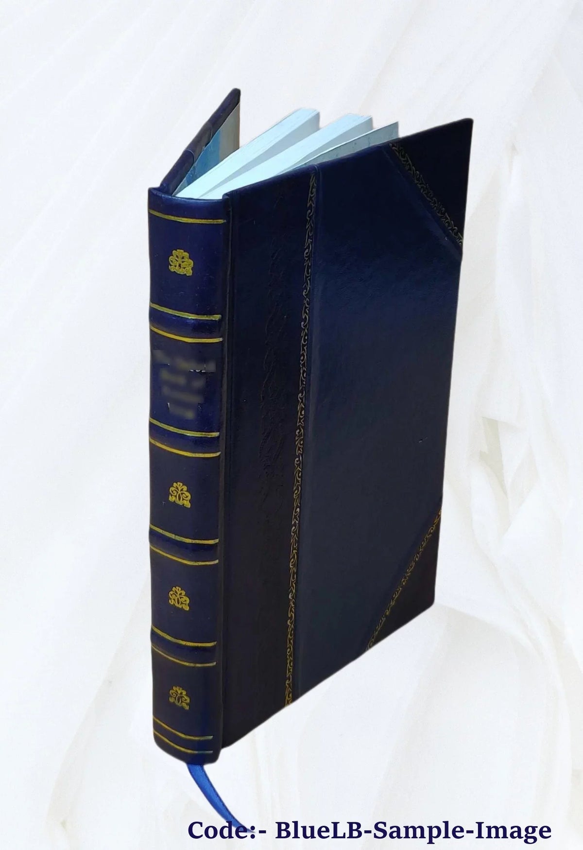 The Voyage of Captain Don Felipe González in the Sizehip of the Line Sizean Lorenzo, with the Frigate ... 1908 [Leather Bound]
