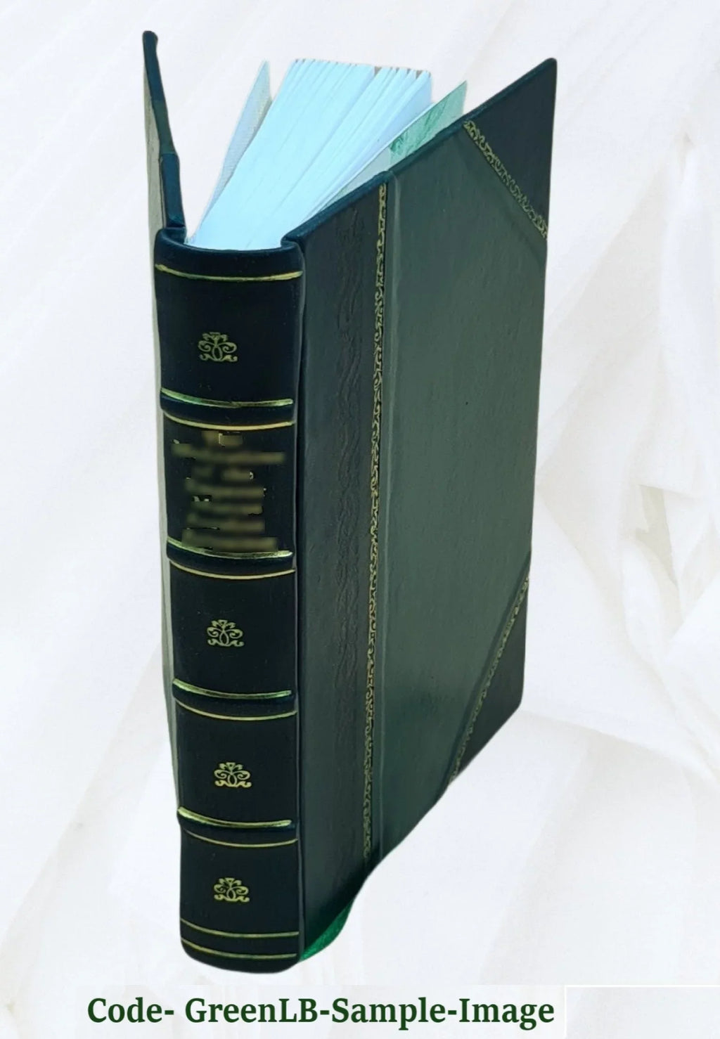Voyages of the Elizabethan seamen to America : select narratives from the "Principal navigations" of Hakluyt ;Gilbert, Amadas and Barlow, Cavendish, Raleigh / edited by Edward John Payne. 1900 [Leathe
