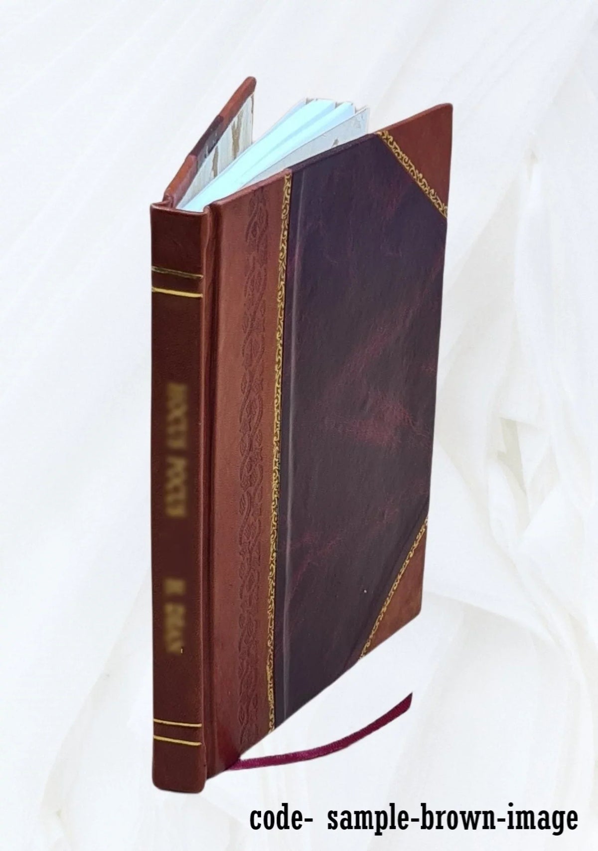 Beaver, the Pawnee Indian / by Size.M. Barrett. 1918 [Leather Bound]