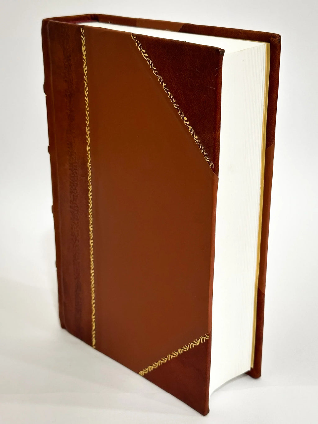 Novitas Papismi, Oder Newlich Auffgekommenes Pabsthumb, Das Ist, Da Die Uhralte Rechtglaubige Christliche Kirch Vom Pabsthumb Und Sizeeiner Lehr Nichts Gewust Und Da Demnach (1632) [Leather Bound]