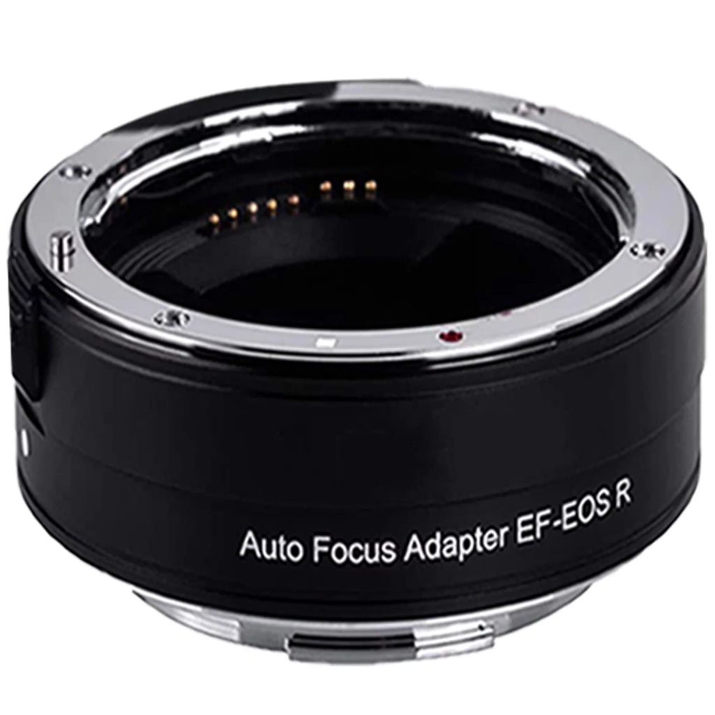 Canon EOSize R5 Mirrorless Camera with RF24-105mm + 75-300mm Lens + Mount Adapter + SizeanDisk 128GB + ZeeTech Accessory