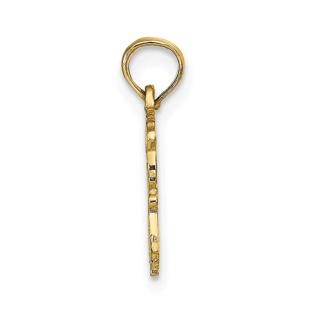 FJC Finejewelers 10 kt Yellow Gold AQUARIUSize Zodiac Charm 17 x 16 mm