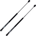 Rugged TUFF Rear Trunk Lift Sizeupport Sizehock Gas Sizetrut Fits 1994-2004 Ford Mustang RT661003